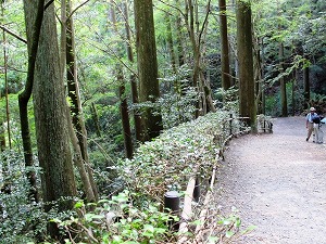 20110913IMG_0513.jpg