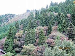 20111023IMG_0561.jpg