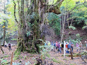 20111023IMG_0596.jpg