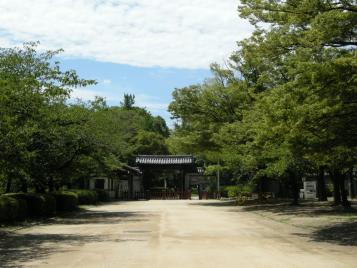 110709-05.jpg