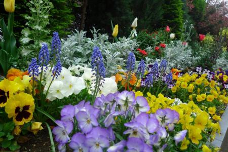 14_20130506205537.jpg