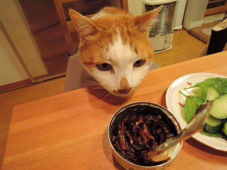 17_20130429202939.jpg