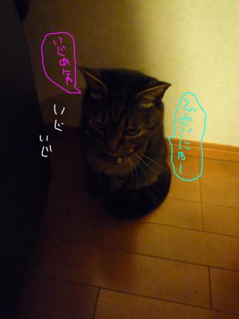③