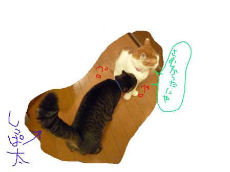 ②