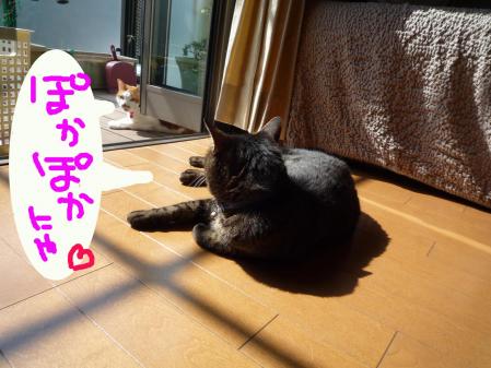 ⑤