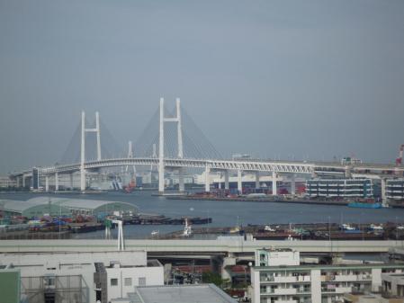 5⑮