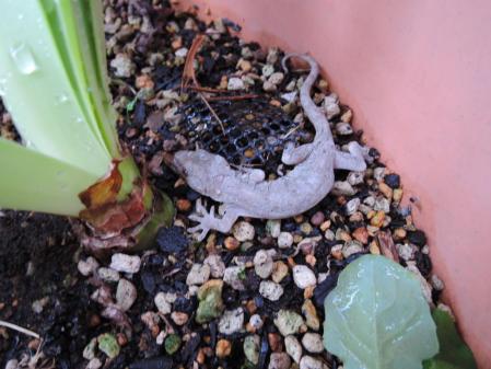 2_20130623072432.jpg