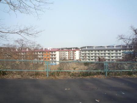 4_20130505152054.jpg