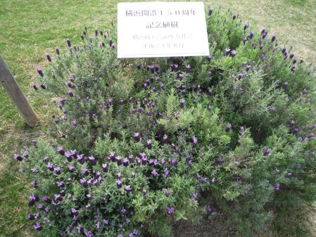 5l_20120501105226.jpg
