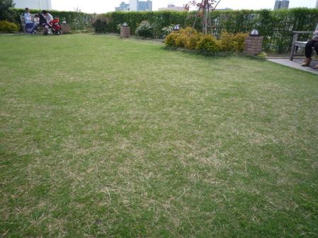 5n_20120501105224.jpg