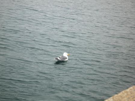 6_20130629095407.jpg