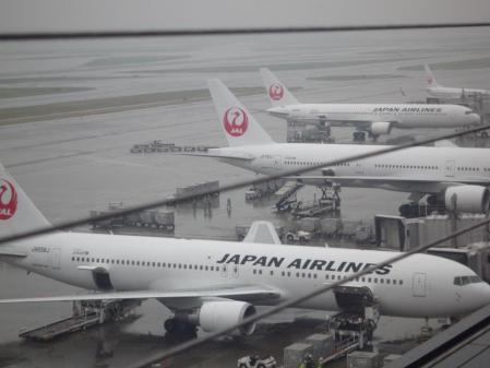 8_20130421071023.jpg