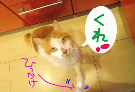 8_20130429185759.jpg