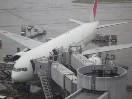 9_20130421071023.jpg