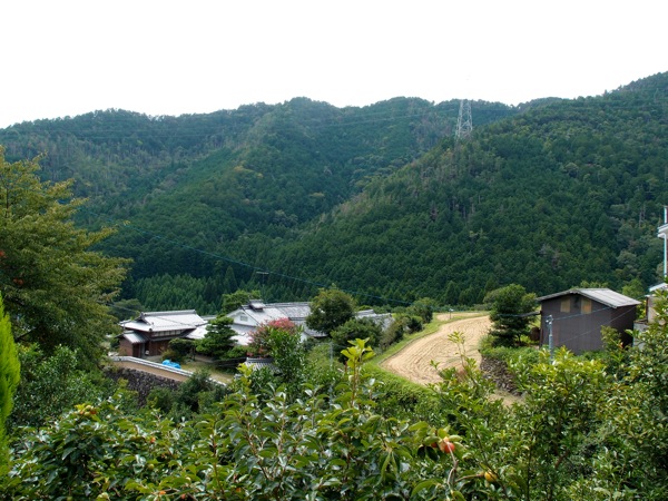 P9176779.jpg
