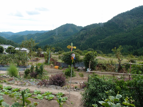 P9176783.jpg