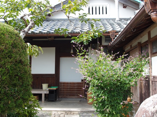 P9176813.jpg