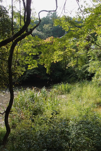 P9307327.jpg