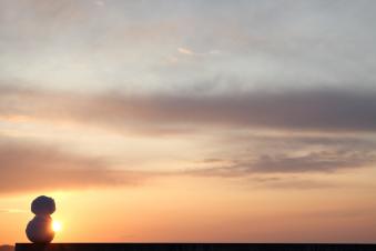 IMG_3179.jpg
