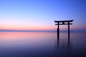 IMG_3465a.jpg