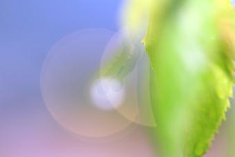 IMG_5684_a.jpg