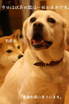 遊びに行ったちびっこたちを迎えにいったのよ~