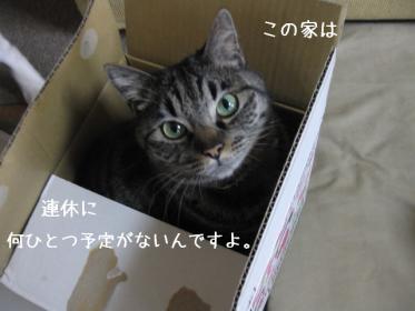 山形か福島、いっそ弘前に行きたいのだけど…