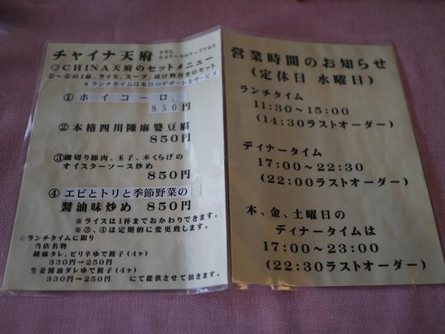 天府130310001