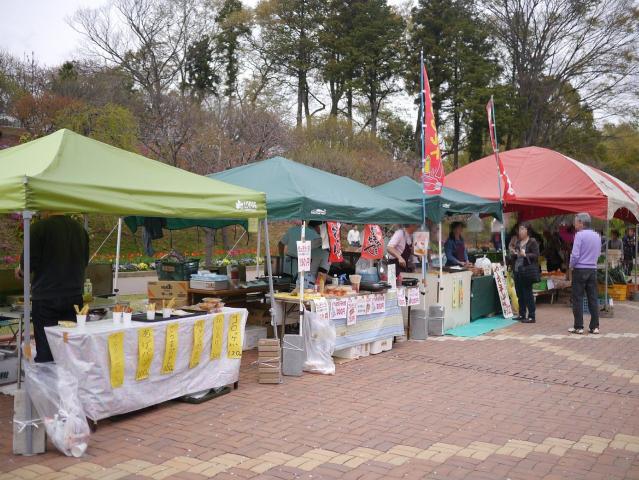 あけぼの山農業公園さくら祭り130406002