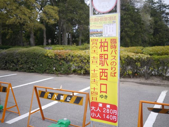 あけぼの山農業公園さくら祭り130406001