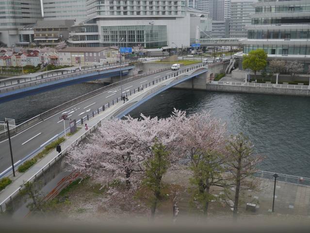 万葉庵130330001