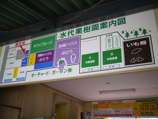 BBQ水代果樹園130506001