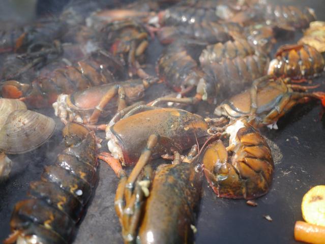 BBQ水代果樹園130506007