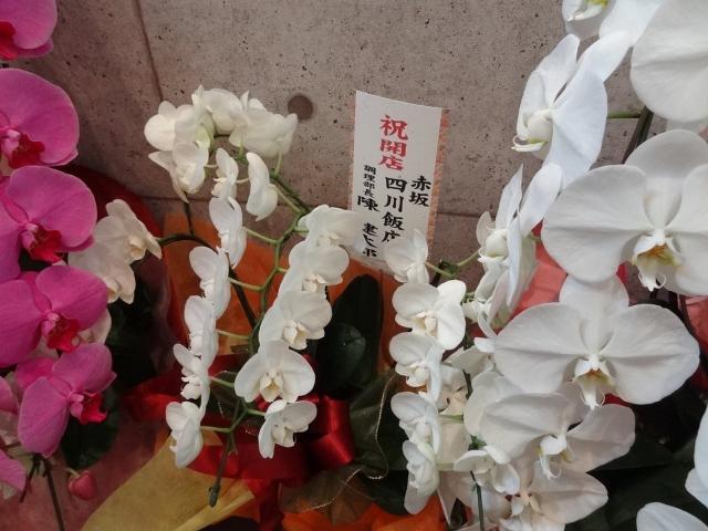 天廣堂130628003