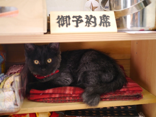 きじとら亭140119010