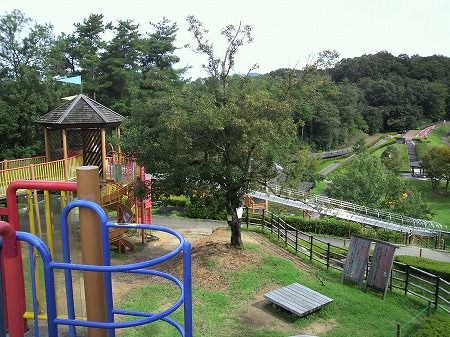 2011091835.jpg