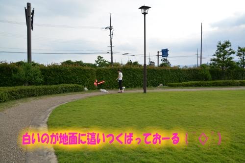 pncn2-1