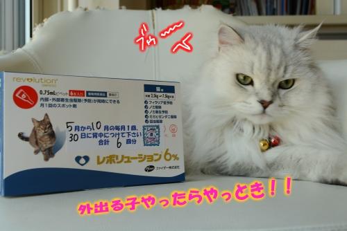 Dksrb2