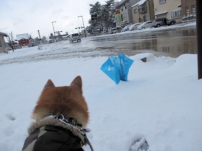 元太雪2014-205 (2)