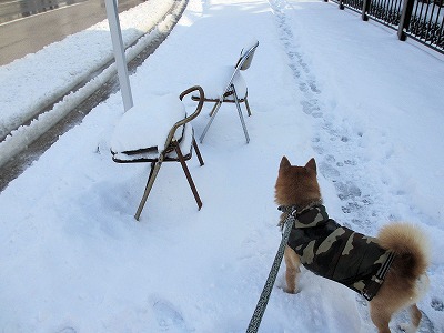 元太雪2014-205 (4)