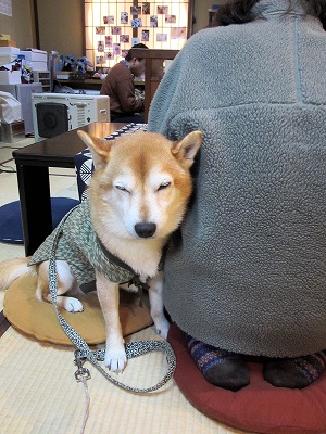 元太お店2014-206 (2)