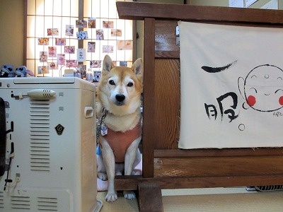 元太お店2014-223 (2)
