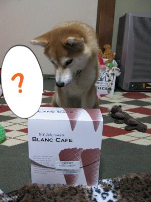 中身はなにかな?