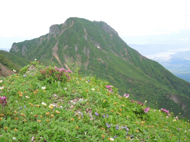 花々