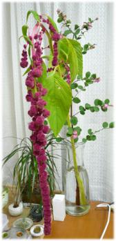 kondeji-097.jpg
