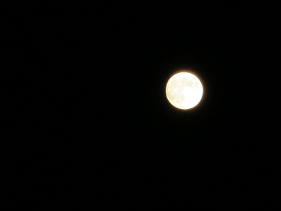 IMG_0377.jpg