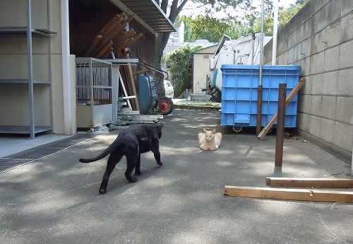 DSCN4753.jpg