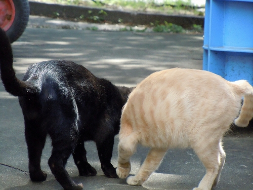 DSCN4755.jpg