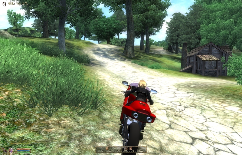 Oblivion 2011-09-08 00-51-45-83_R