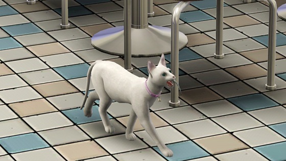 20120409g5.jpg